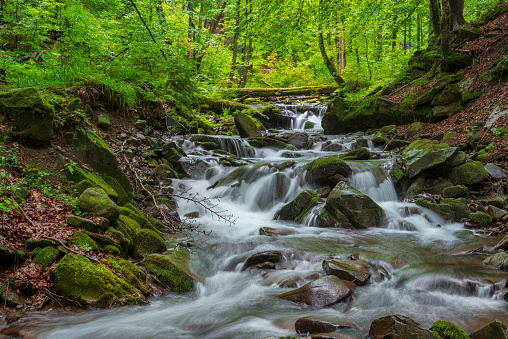 Waterfall in the misty canyon. Shipit waterfall in the Carpathian mountains