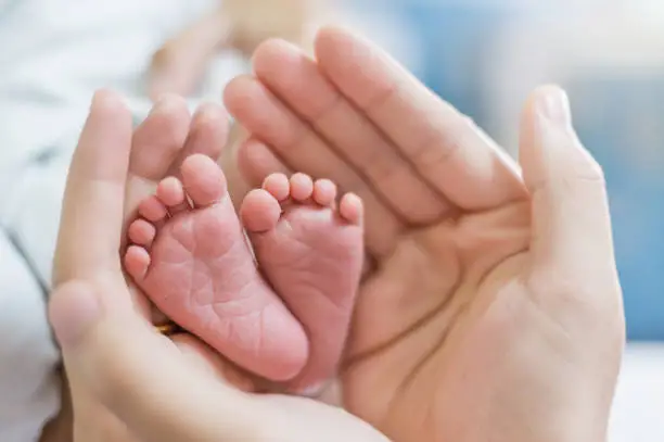 Motherâs hands holding newborn baby feet. Closeup feet of newborn baby. Healthcare and medical love lifestyle fatherâs day background concept