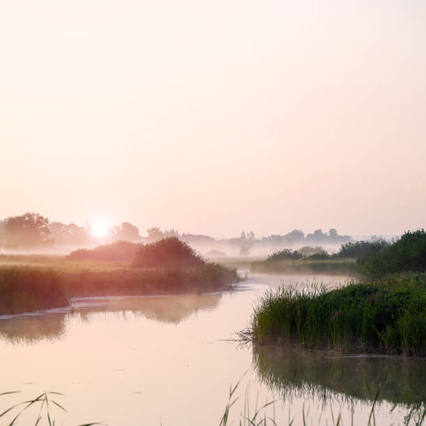 istock Sunrise in a light fog on a small river 1329685851