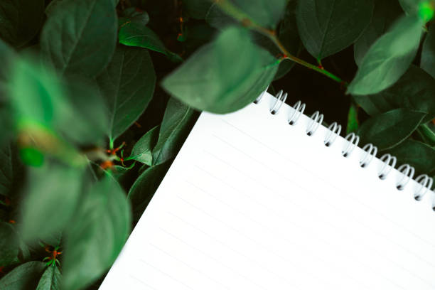 istock A white blank notebook on green leaves in the park. Space for text 1329686269