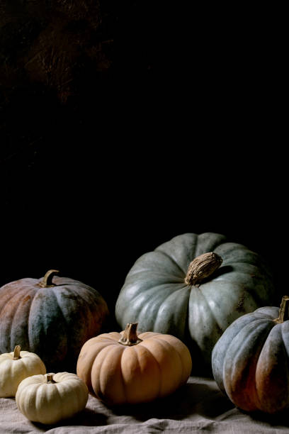 istock Colorful pumpkins collection on linen tablecloth. Dark still life 1329687239