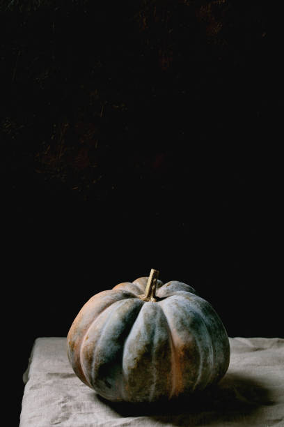 istock Blue pumpkin on linen tablecloth. Dark still life 1329687248