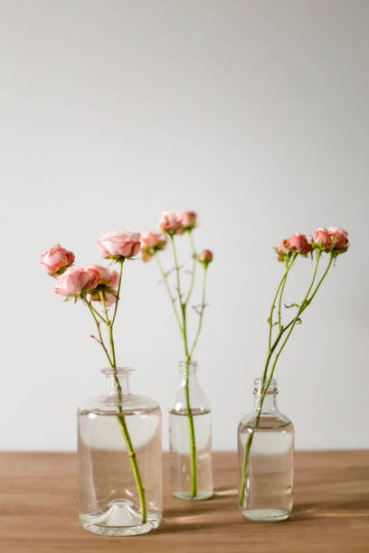 istock Pink roses in glass bottles on a wooden table 1329688429