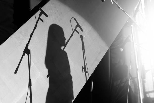 Silhouette of a female moderator and presenter on stage with a microphone. Silhouette of a female moderator or presenter and a professional speech or presentation on stage with a microphone. interrogation woman stock pictures, royalty-free photos & images