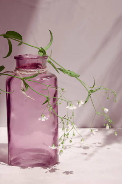 istock Botanical pink background mock up. Shadows and sunlight. 1329694915