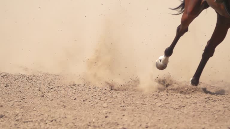 Hooves of Several Racehorses Raise a Cloud of Dust. Slow Motion