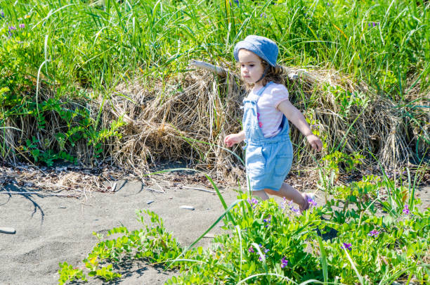 istock Little girl on beach 1329698317