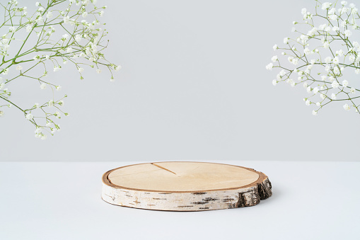 Round wooden podium and gypsophila flowers on grey background. Birch saw cut for eco product presentation. Mockup for beauty cosmetic advertising. Copy space, front view.