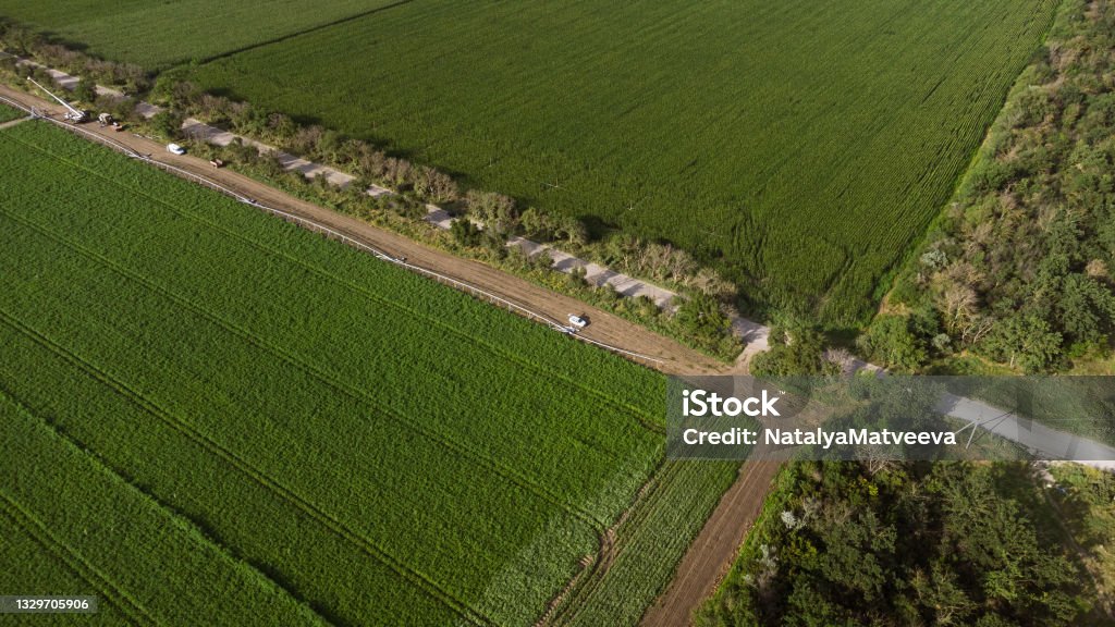 Potato field aerial view. DJI Mavic Mini 2 drone photography Aerial View Stock Photo