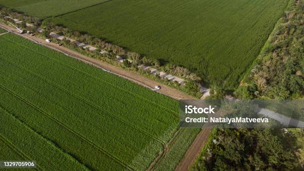 Potato Field Aerial View Dji Mavic Mini 2 Drone Photography Stock Photo - Download Image Now