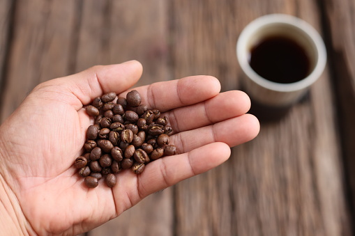 Hand hold Coffee Beans Peaberry small size picking . a cup and log wooden background. Selective focus on foreground with copy space.