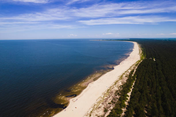 istock Areal view on forest, beach and Baltic sea 1329711000