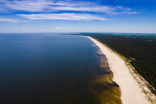 istock Areal view on forest, beach and Baltic sea 1329711101