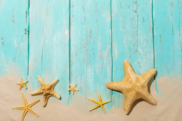 istock Flat composition with various starfish on a blue wooden background with sand and copy space at the top 1329714161
