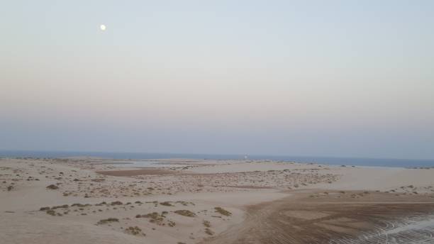 Qatar has beautiful sand beaches guarded by tall sand dunes from sealine beach in Messaied to Saudi Arabia boarder