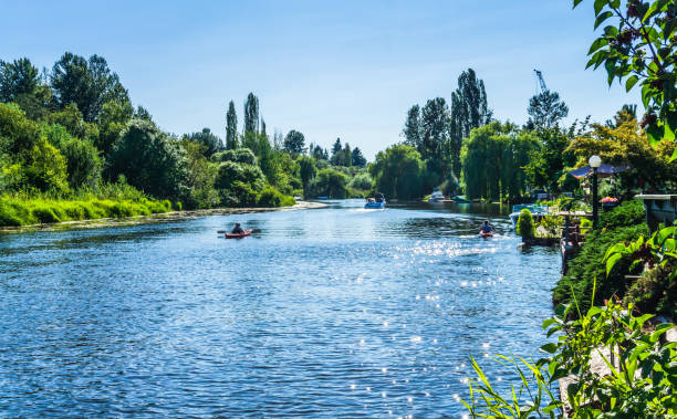 istock Along The Sammamish River 1329717416