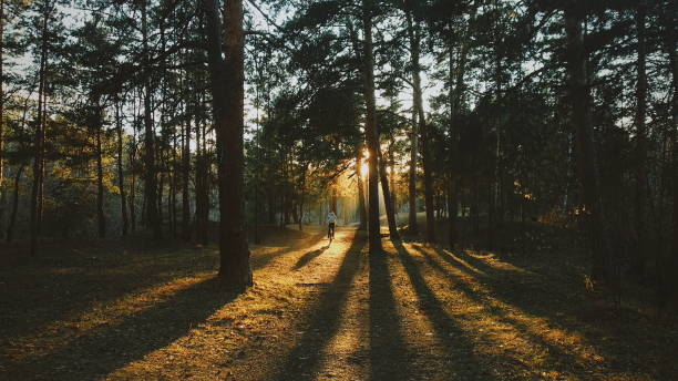 istock Cyclist riding into the sunset 1329717506