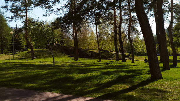 istock Shadows from trees on the grass and path in the park in summer 1329717522