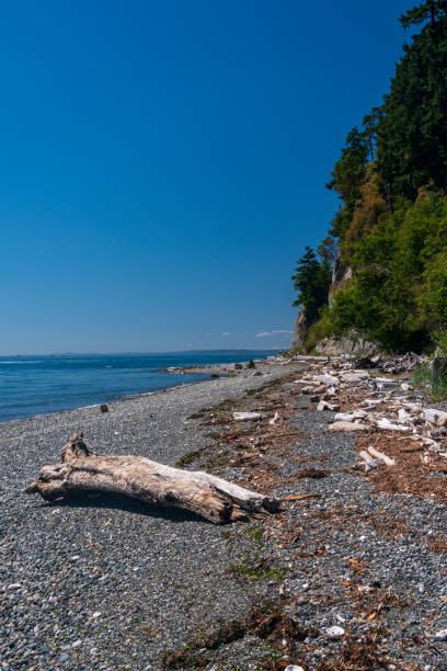 istock Possession Point on Whidbey Island 1329725973