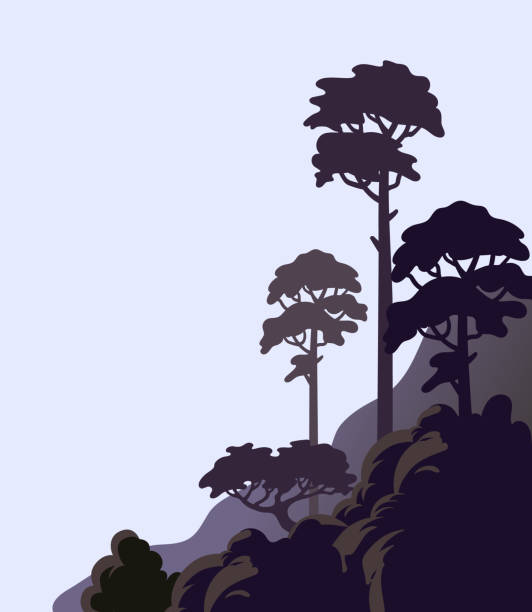 Pine tree on a cliff, rocky shore with tall trees. Vector illustration in flat cartoon style Pine tree on a cliff, rocky shore with tall trees. Vector illustration in flat cartoon style. coniferous tree stock illustrations