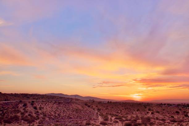 istock California Desert Landscape 1329727681
