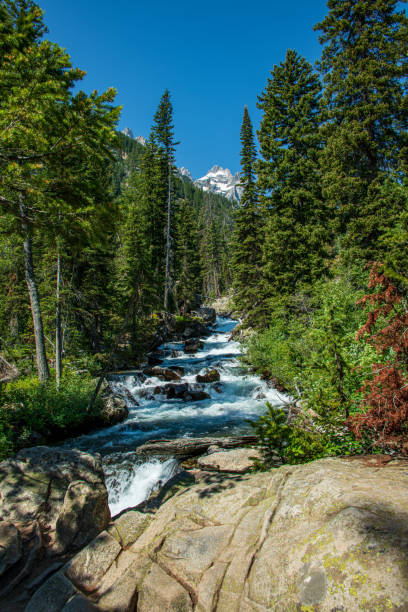 istock Hidden Falls on the Inspiration Point trail 1329730189
