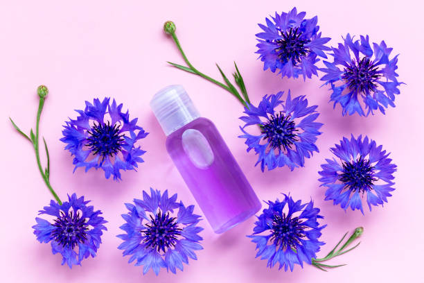 istock Composition with bottle and cornflower flowers. 1329733701