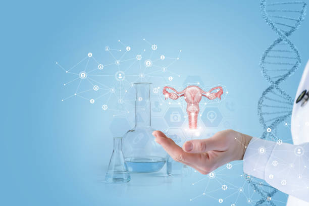 istock Uterus diagnosis treatment concept. 1329734109