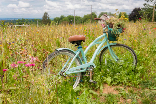 istock Bicycle in the Wildflowers 1329735470