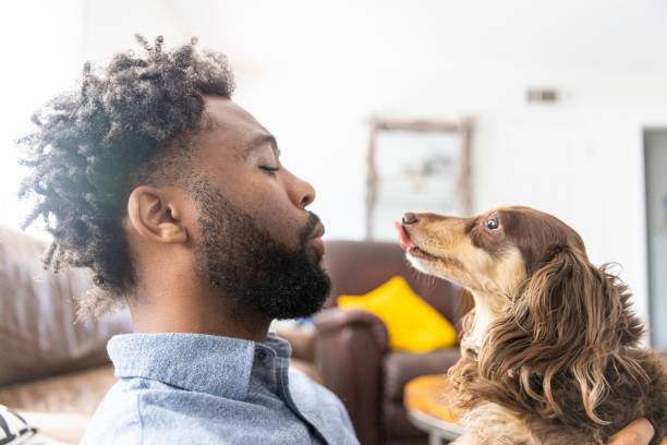 istock Young black man playing with dogs 1329736819