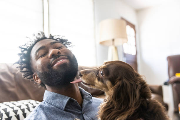 istock Young black man playing with dogs 1329736836