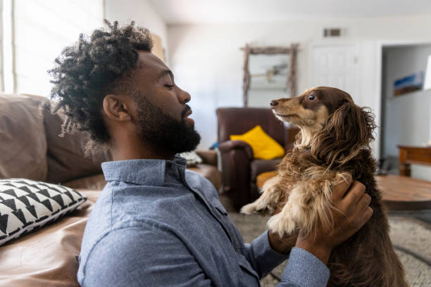 istock Young black man playing with dogs 1329736879