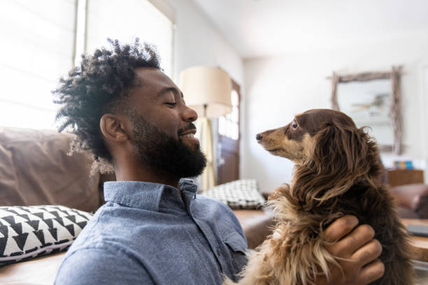 istock Young black man playing with dogs 1329737015