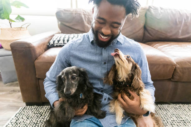 istock Young black man playing with dogs 1329737066