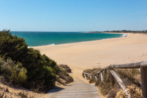 istock Wooden path leading down to the beach. Vacation paradise. 1329737908