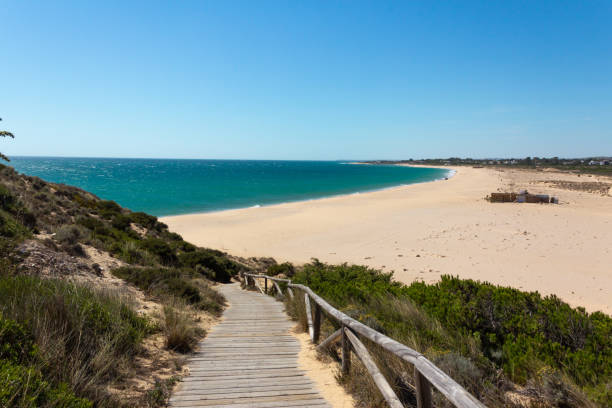 istock Wooden path leading down to the beach. Vacation paradise. Virgin beach. 1329738444