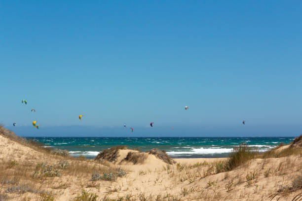 istock Seascape with people practicing kitesurfing. Sea sport. 1329738454