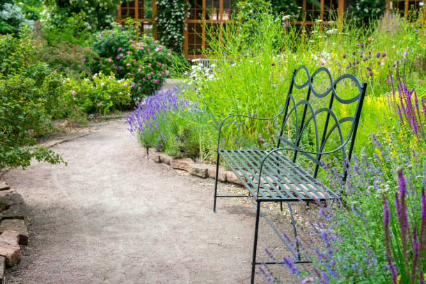 ławka w parku ogrodowym na lato - garden path lawn formal garden flower bed zdjęcia i obrazy z banku zdjęć