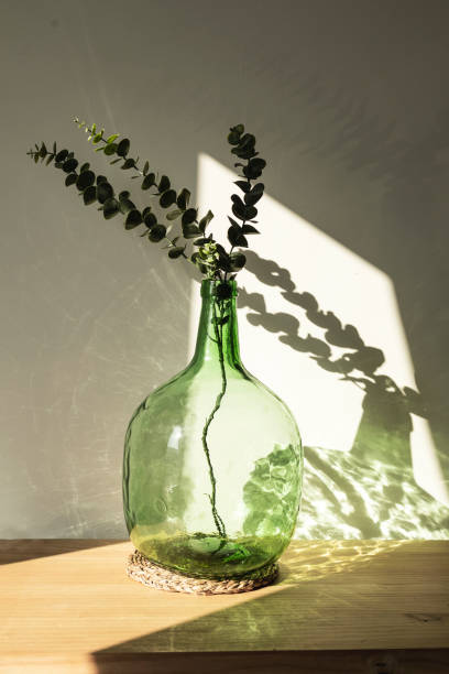 istock Demijohn vase with eucalyptus branches. Decorative glass vase. Interior and object photography 1329740218