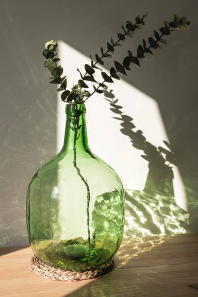istock Demijohn vase with eucalyptus branches. Decorative glass vase. Interior and object photography 1329740219