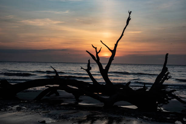istock Sunrise on Jekyll Beach with silhouettes. 1329745430