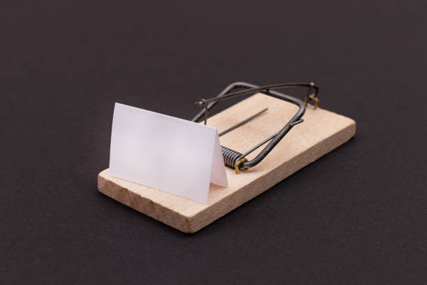Blank White Sheet of Paper in Wooden Mousetrap - Template. Small Memo Paper in Mouse Trap on Black Background