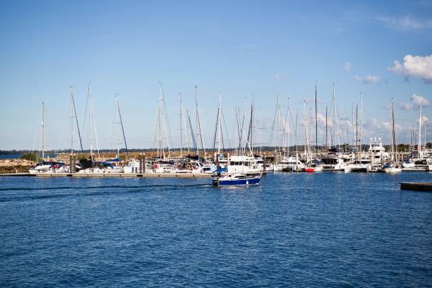 istock Boat coming in! Manly, Queensland 1329747458