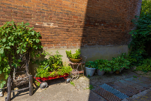Small Garden in an alley with plants potted in flowerpots, and a red wagon toy.