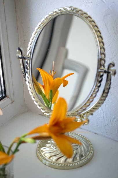 istock The orange lily near mirror. Flowers and mirror reflection. 1329749970