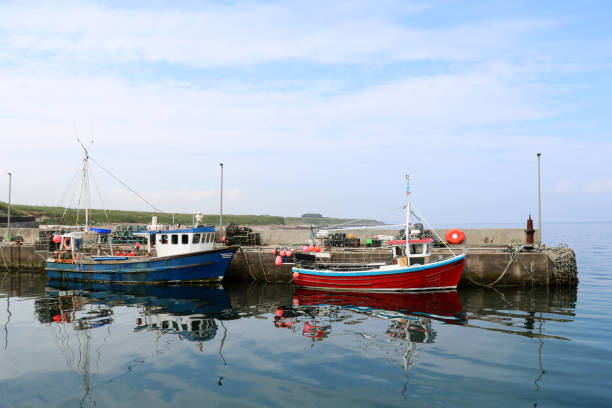 istock Fishing Boats in a Small Scottish Harbour 1329750545
