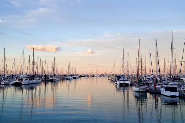 istock Sunset at Manly, Queensland 1329752344