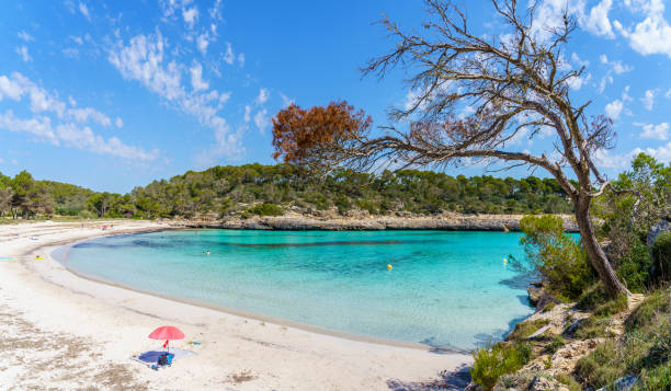 istock Cala Mondrago landscape 1329754683