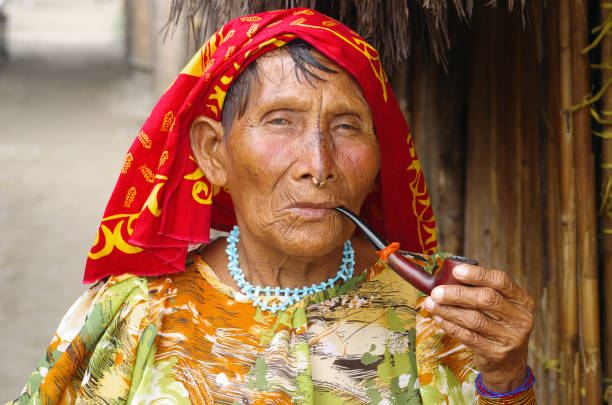 Beautiful Kuna Yala Woman Playon Chico, Kuna Yala, Panama - April 17, 2013 - Portrait of an unidentified Kuna Yala woman is shown wearing traditional clothing and makeup. kuna yala stock pictures, royalty-free photos & images