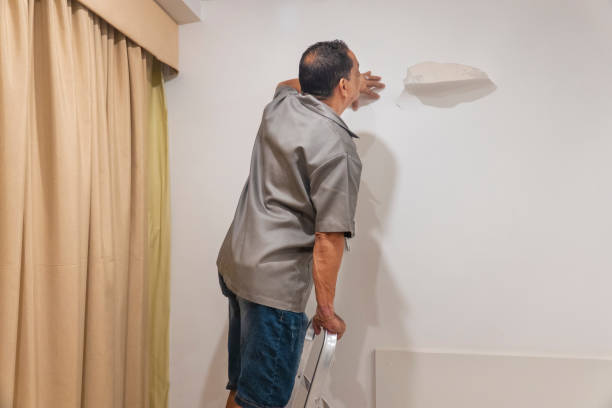 istock Painter watches bedroom wall peeling 1329755932